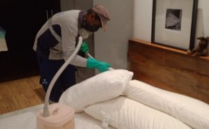 Pest Control