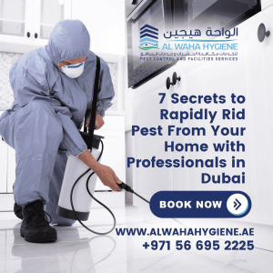 7 Secrets to Rapidly Rid Pest From Your Home with Professionals in Dubai