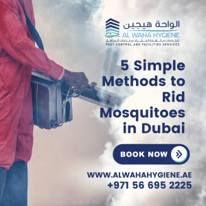 5 Simple Methods to Rid Mosquitoes in Dubai
