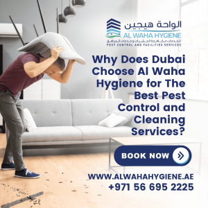 Why Does Dubai Choose Al Waha Hygiene for The Best Pest Control and Cleaning Services?