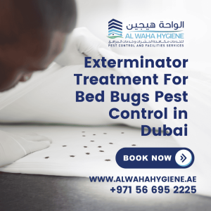 Exterminator Treatment For Bed Bugs Pest Control in Dubai