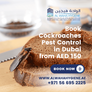 Book Cockroaches Pest Control in Dubai from AED 150