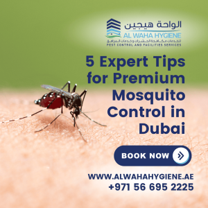 5 Expert Tips for Premium Mosquito Control in Dubai