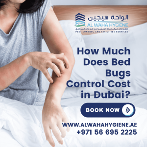 How Much Does Bed Bugs Control Cost in Dubai?