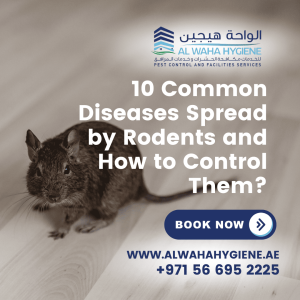 10 Common Diseases Spread by Rodents and How to Control Them?