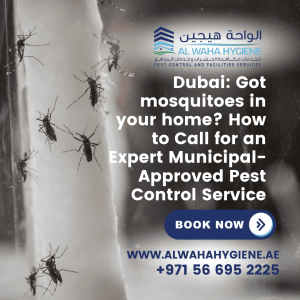 Dubai: Got Mosquitoes in Your Home? How to Call for an Expert Municipal-Approved Pest Control Service