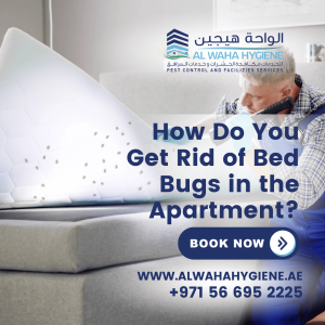 How Do You Get Rid of Bed Bugs in the Apartment?