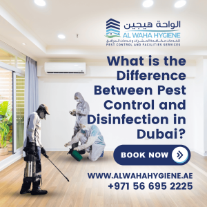 What is the Difference Between Pest Control and Disinfection in Dubai?