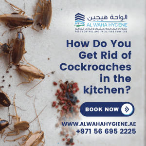 How Do You Get Rid of Cockroaches in the kitchen?