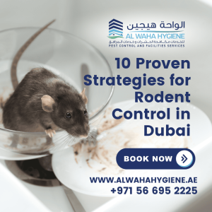 10 Proven Strategies for Rodent Control in Dubai