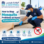 How to Stop Mosquito Problems at Home: Practical Dubai Tips