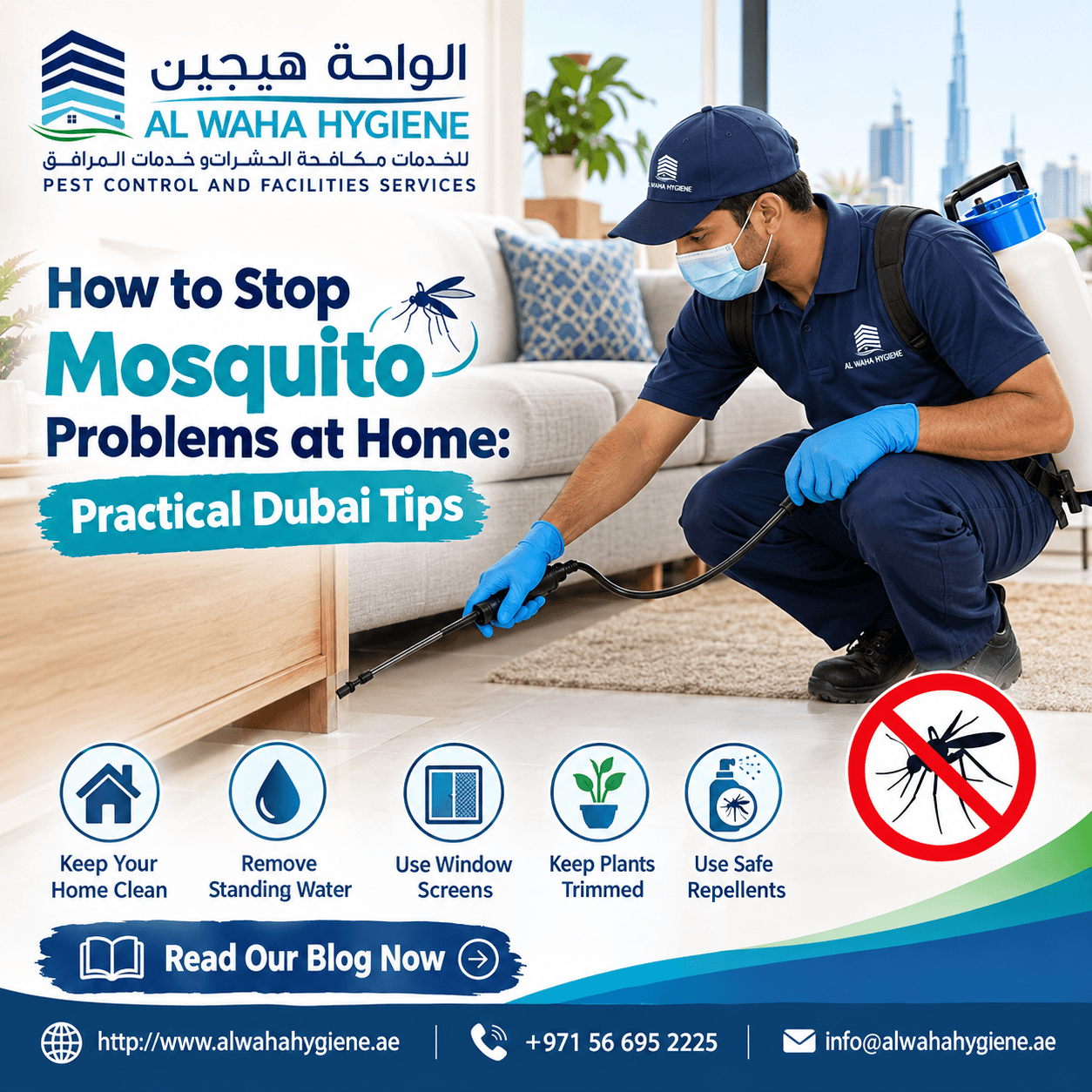 How to Stop Mosquito Problems at Home: Practical Dubai Tips