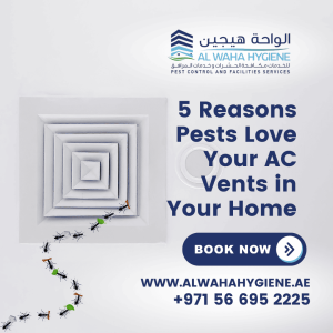 5 Reasons Pests Love Your AC Vents in Your Home