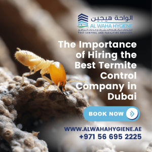 The Importance of Hiring the Best Termite Control Company Dubai