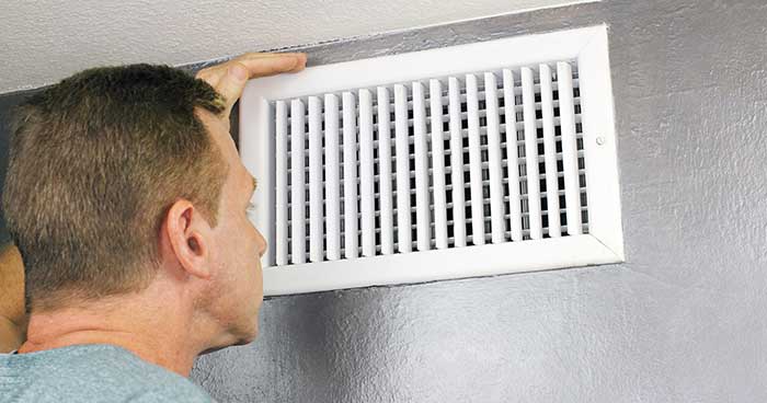 Pests in AC Vents