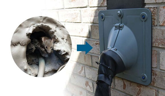 Rodents in AC Vents