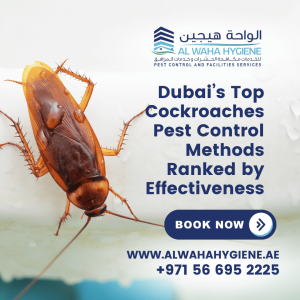 Dubai’s Top Cockroaches Pest Control Methods Ranked by Effectiveness
