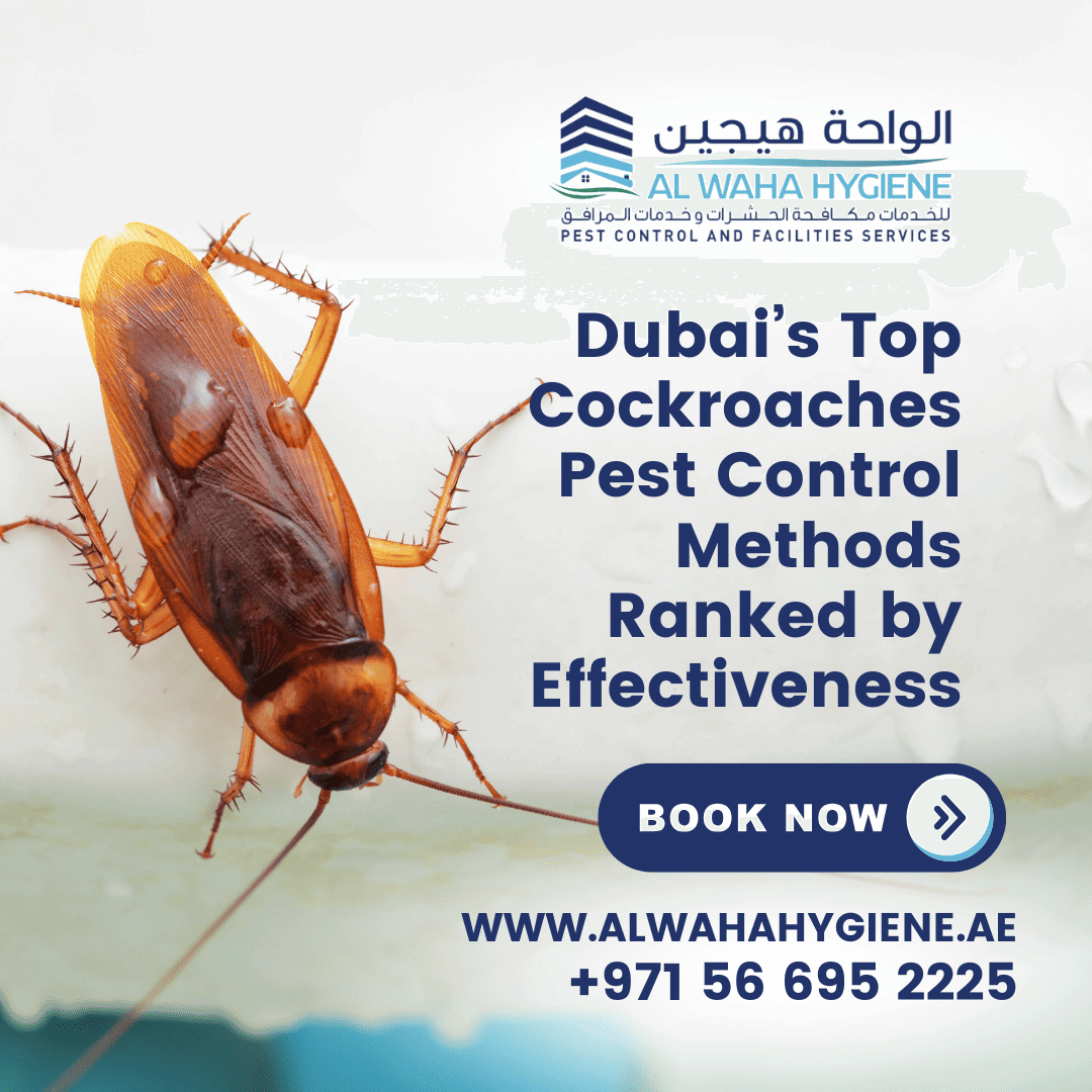 Dubai’s Top Cockroaches Pest Control Methods Ranked by Effectiveness