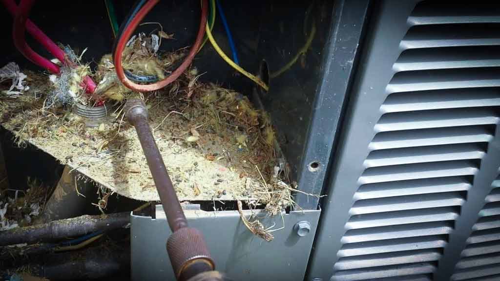 AC Repair from Pest Control