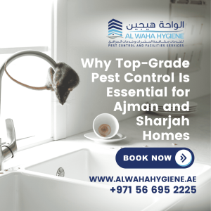 Why Top-Grade Pest Control Is Essential for Ajman and Sharjah Homes