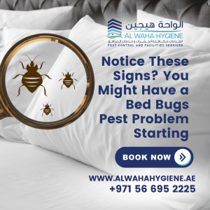 Notice These Signs? You Might Have a Bed Bugs Pest Problem Starting