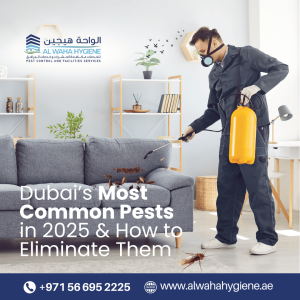 Dubai’s Most Common Pests in 2026 & How to Eliminate Them