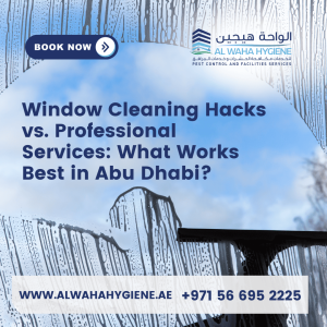 Window Cleaning Hacks vs. Professional Services: What Works Best in Abu Dhabi?