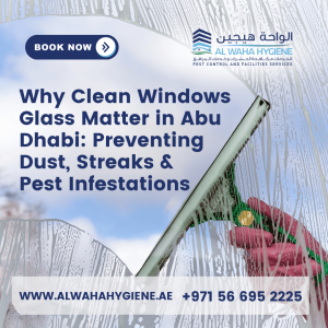 Why Clean Windows Glass Matters in Abu Dhabi: Preventing Dust, Streaks & Pest Infestations