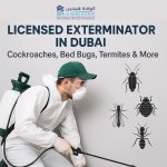 Licensed Exterminator in Dubai | Cockroach, Bed Bugs, Termites & More