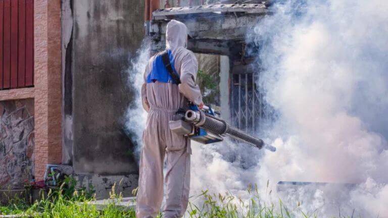 Mosquito Control Fogging