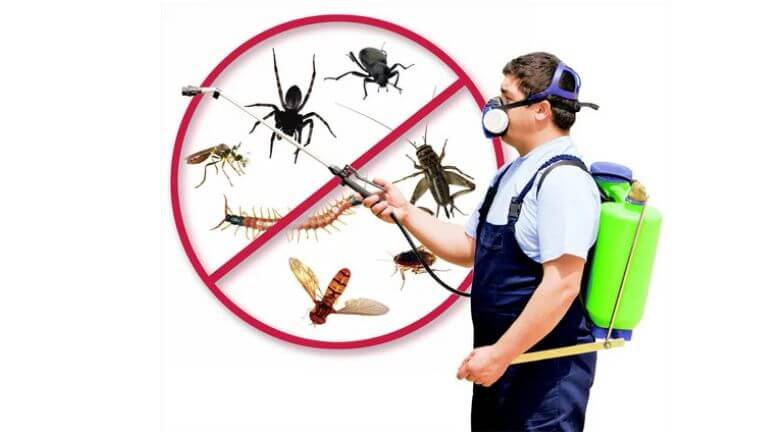 Targeted Chemical Treatments