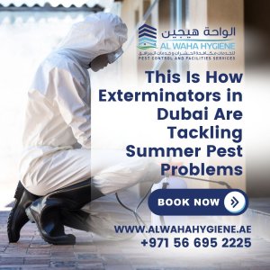 This Is How Exterminators in Dubai Are Tackling Summer Pest Problems