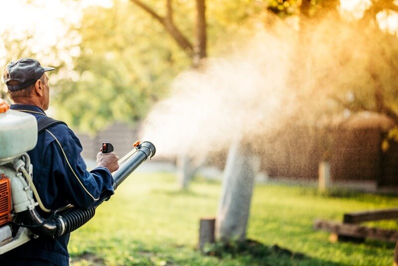 Mosquito Control services in Dubai by Al Waha Hygiene