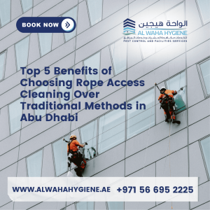 Top 5 Benefits of Choosing Rope Access Cleaning Over Traditional Methods in Abu Dhabi