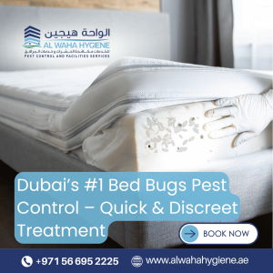Dubai’s #1 Bed Bugs Pest Control – Quick & Discreet Treatment