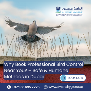 Why Book Professional Bird Control Near You? – Safe & Humane Methods in Dubai