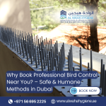 Why Book Professional Bird Control Near You? – Safe & Humane Methods in Dubai