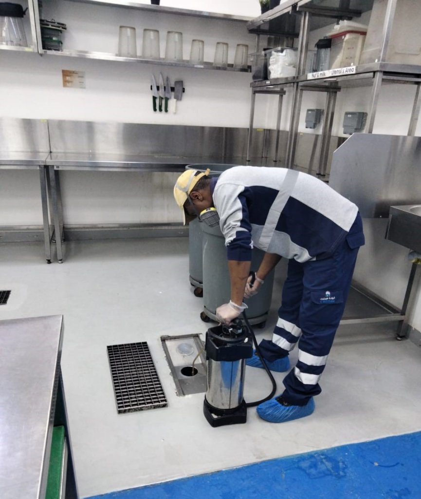 Ant Pest Control Sharjah