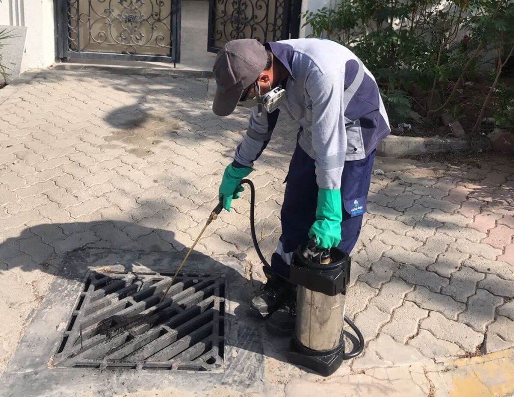 Pest Control Near You