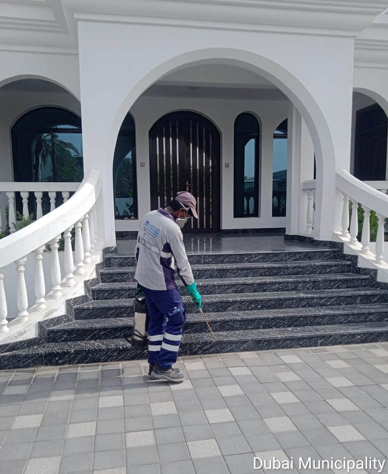 Pest Control Company Dubai