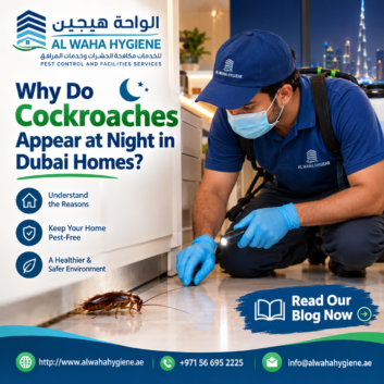 Why Do Cockroaches Appear at Night in Dubai Homes?