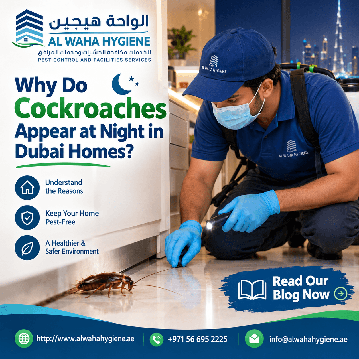 Why Do Cockroaches Appear at Night in Dubai Homes?
