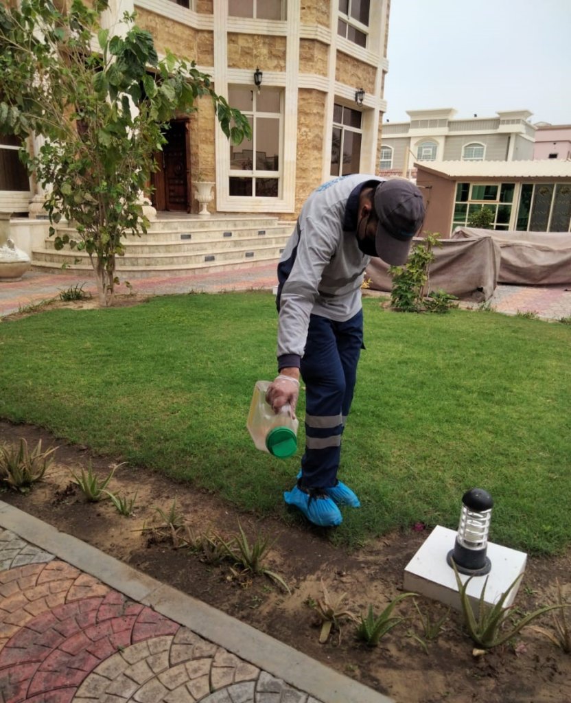 Ant Pest Control Ajman