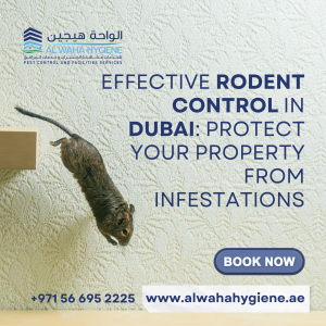 Effective Rodent Control in Dubai: Protect Your Property from Infestations