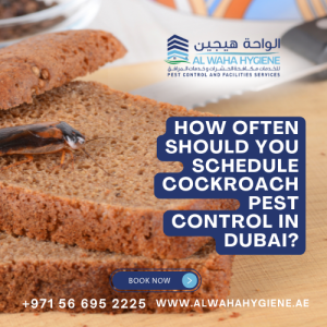 How Often Should You Schedule Cockroach Pest Control in Dubai?