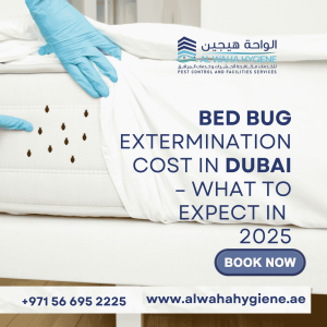 Bed Bug Extermination Cost in Dubai – What to Expect in 2026