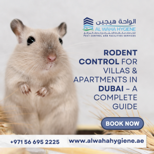 Rodent Control for Villas & Apartments in Dubai – A Complete Guide