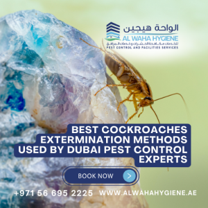 Best Cockroaches Extermination Methods Used by Dubai Pest Control Experts
