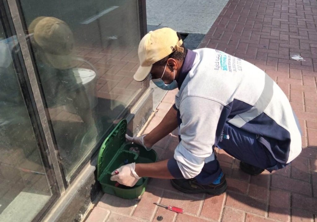 Rodent Control Dubai
