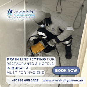 Drain Line Jetting for Restaurants & Hotels in Dubai: A Must for Hygiene